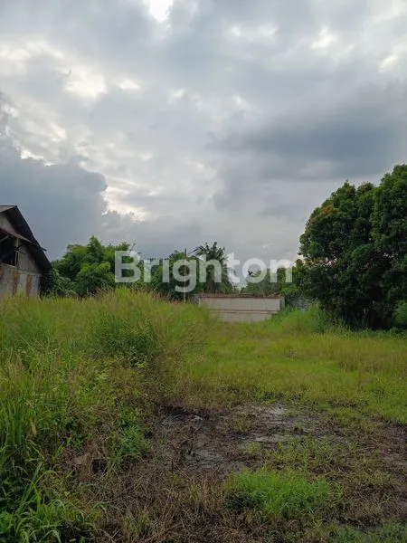 TANAH LUAS 1,7 HEKTAR BATANG KUIS