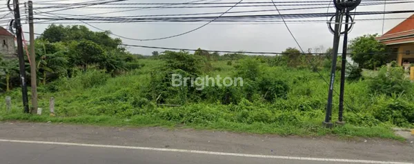 image TANAH INDUSTRI POROS JALAN DEKAT EXIT TOL CERME GRESIK (1)