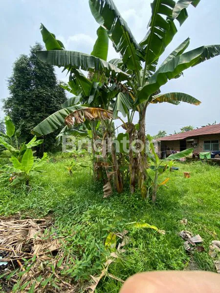 image TANAH STRATEGIS DI JUAL (4)