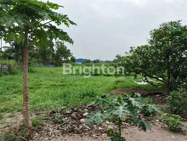 image TANAH LUAS 1.3 HEKTAR DISKI  BINJAI (4)