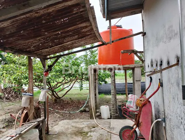 image TANAH LUAS 1.3 HEKTAR DISKI  BINJAI (8)