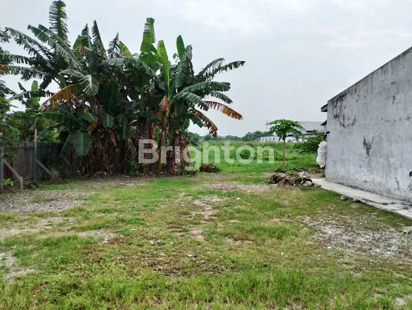 image TANAH LUAS 1.3 HEKTAR DISKI  BINJAI (5)