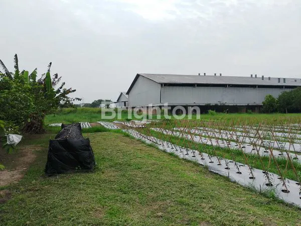 image TANAH LUAS 1.3 HEKTAR DISKI  BINJAI (2)