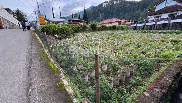 image DI JUAL TANAH POSISI DI HOEK DI TAWANGMANGU (4)
