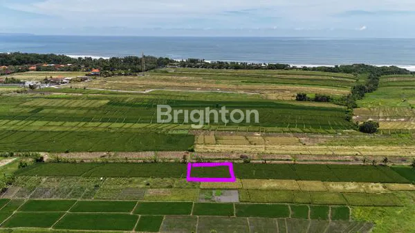 image TANAH ZONA PINK SELUAS 450 M² KELATING - TABANAN (1)