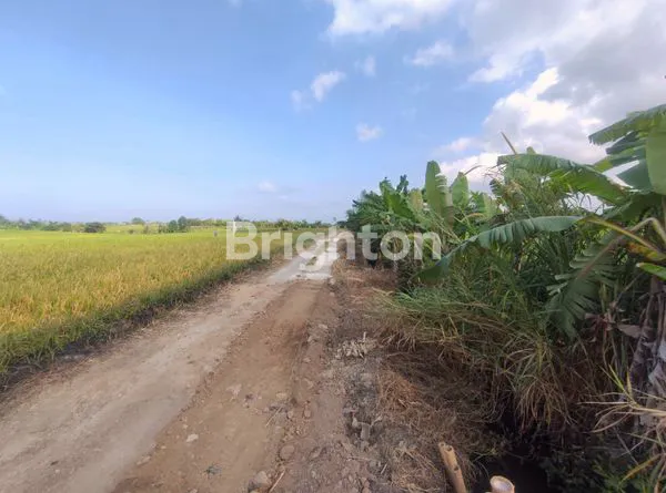 image TANAH ZONA PINK SELUAS 450 M² KELATING - TABANAN (3)