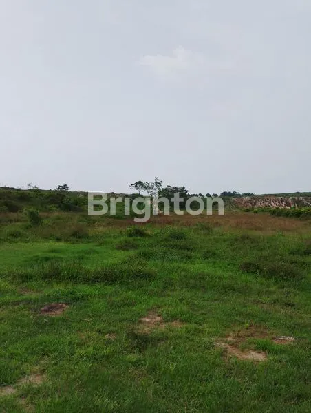 TANAH LUAS 50 HEKTAR TANJUNG MORAWA