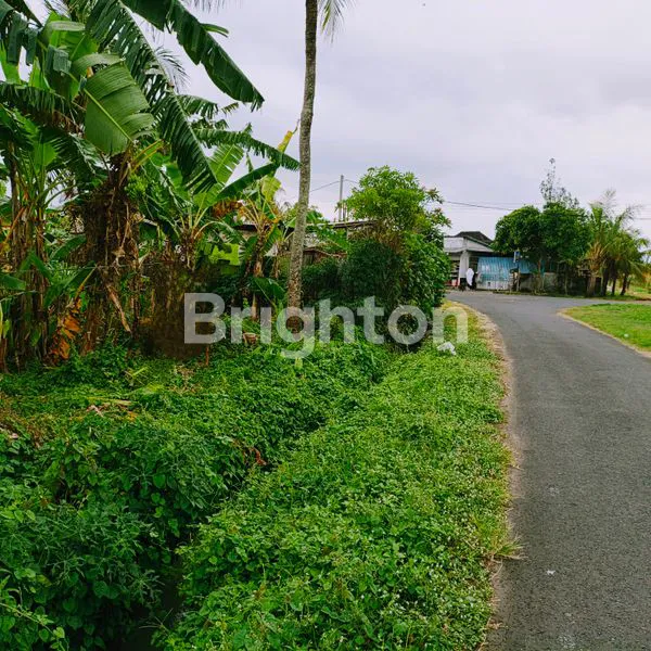 image TANAH ZONA KUNING SELUAS 800 M² TABANAN (1)