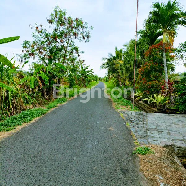 image TANAH ZONA KUNING SELUAS 800 M² TABANAN (2)