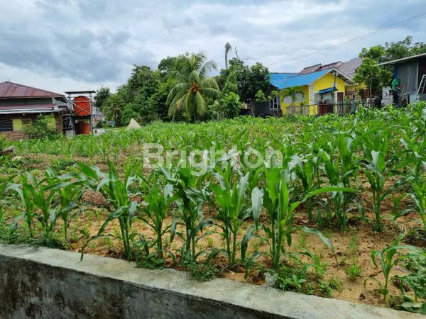 image LAHAN KOSONG POSISI HOOK DI SEPINGGAN (1)