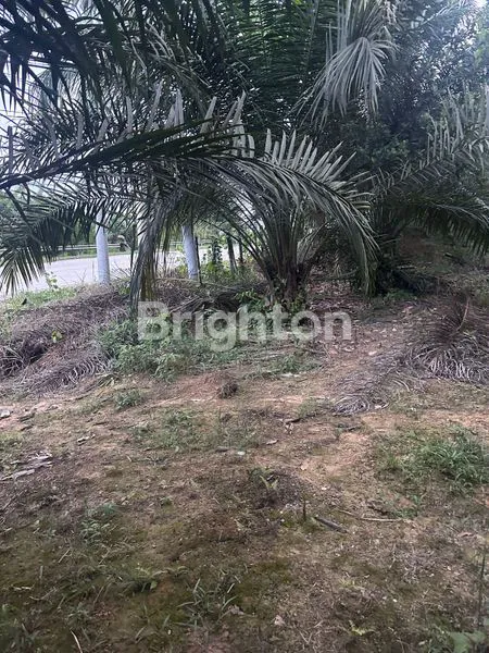 image DIJUAL CEPAT LAHAN  RING SATU IKN (1)