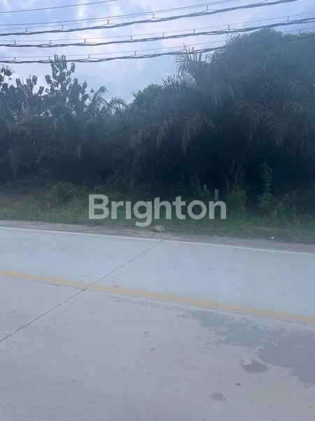 image DIJUAL CEPAT LAHAN  RING SATU IKN (5)