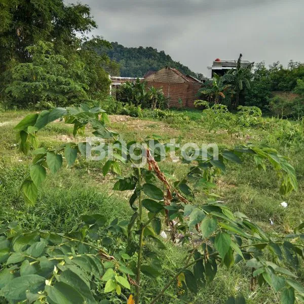 image TANAH PREMIUM 750M² STRATEGIS DI WAY HALIM, DEKAT MALL KEDATON (4)