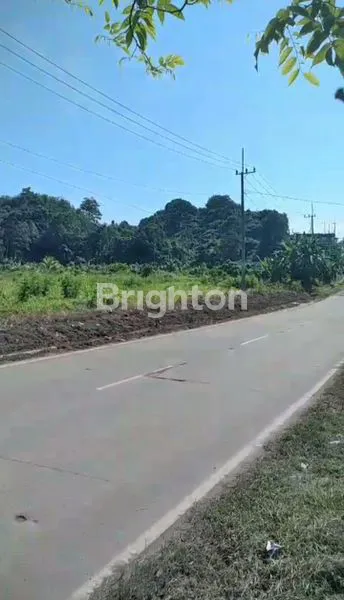 image DIJUAL MURAH LAHAN LUAS SIAP BANGUN DI RING ROAD  SAMARINDA (2)