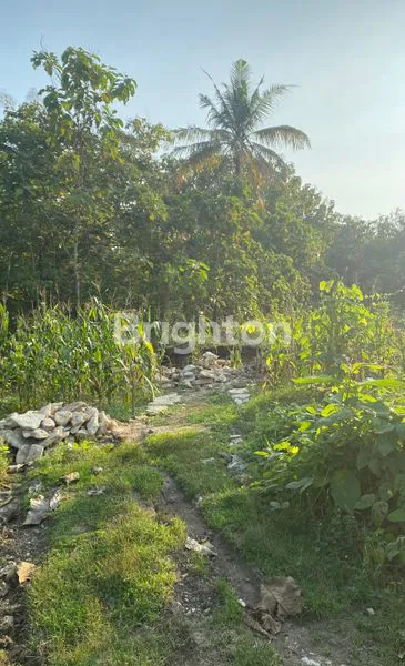 image TANAH PREMIUM VIEW KOTA BANTUL DI BUKIT CATURHARJO - SHM 2088M² (3)