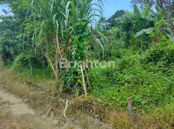 image DIJUAL TANAH KAVLINGAN MURAH DAERAH ANGGANA SUNGAI MERIAM SAMARINDA (2)