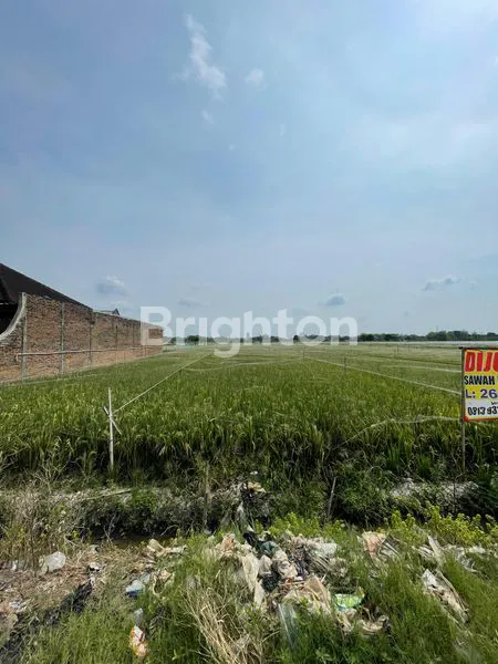 image PERSAWAHAN STRATEGIS SOLO TIMUR (4)