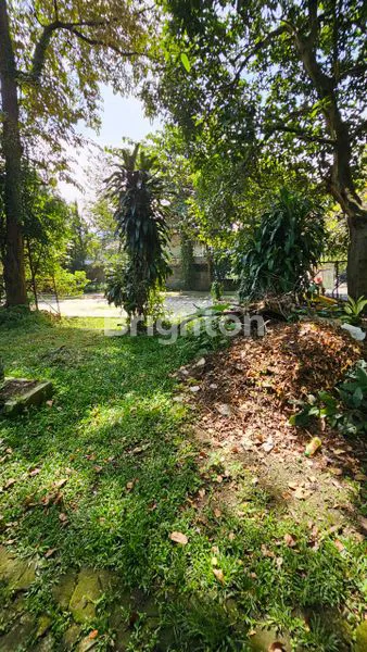 image TANAH STRATEGIS DI JALAN SANCANG BOGOR (6)