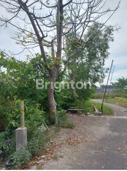 image TANAH NOL JALAN RAYA KAMAL, BANGKALAN (2)