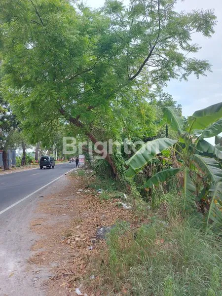 image TANAH NOL JALAN RAYA KAMAL, BANGKALAN (4)