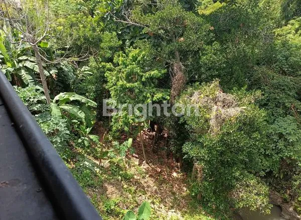 image TEMPAT USAHA 1,5 LANTAI  3 ARE COCOK UNTUK GUDANG, CAFFE , RESTO  DI DENPASAR UTARA (6)