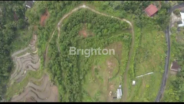 image TANAH LUAS KONTUR BERBUKIT , COCOK UNTUK RESTO, AGRO WISATA, HOTEL. HANYA 4,3 KM KE HEHA SKYVIEW. (1)
