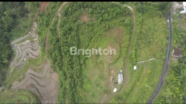 image TANAH LUAS KONTUR BERBUKIT , COCOK UNTUK RESTO, AGRO WISATA, HOTEL. HANYA 4,3 KM KE HEHA SKYVIEW. (2)