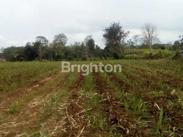 TANAH PREMIUM SIAP BANGUN DI WAGIR