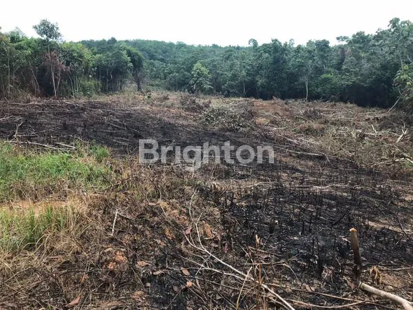 image TANAH PREMIUM COCOK UNTUK PERUMAHAN / HOTEL / VILLA (7)