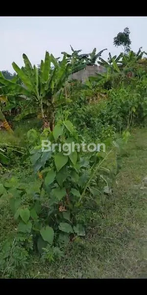 image TANAH 5,8 HA DEKAT TOL GUNUNG PUTRI (2)