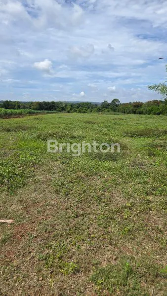 image TANAH DI JLN. AH. NASUTION, GEDUNG DALAM, BATANG HARI NUBAN, LAMPUNG TIMUR, LAMPUNG (3)