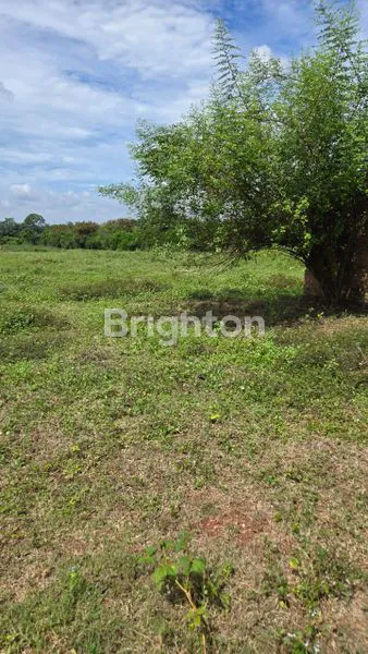 image TANAH DI JLN. AH. NASUTION, GEDUNG DALAM, BATANG HARI NUBAN, LAMPUNG TIMUR, LAMPUNG (5)