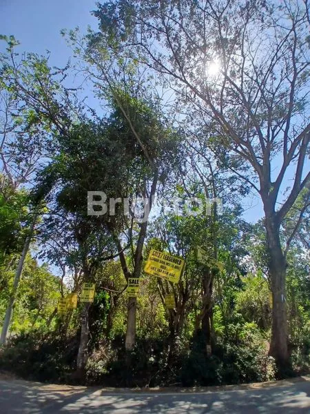 image JUAL TANAH ZONA HIJAU DI JIMBARAN!LOKASI STRATEGIS (2)