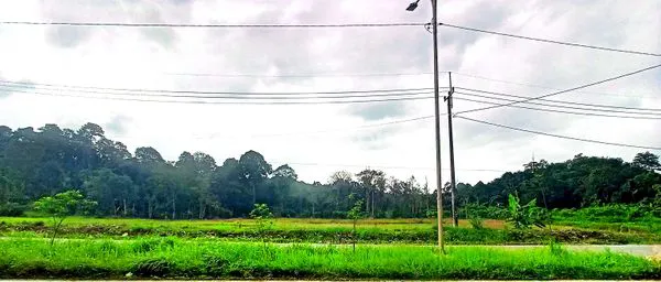 image TANAH 4,4 HEKTAR RINGROAD 2 (1)