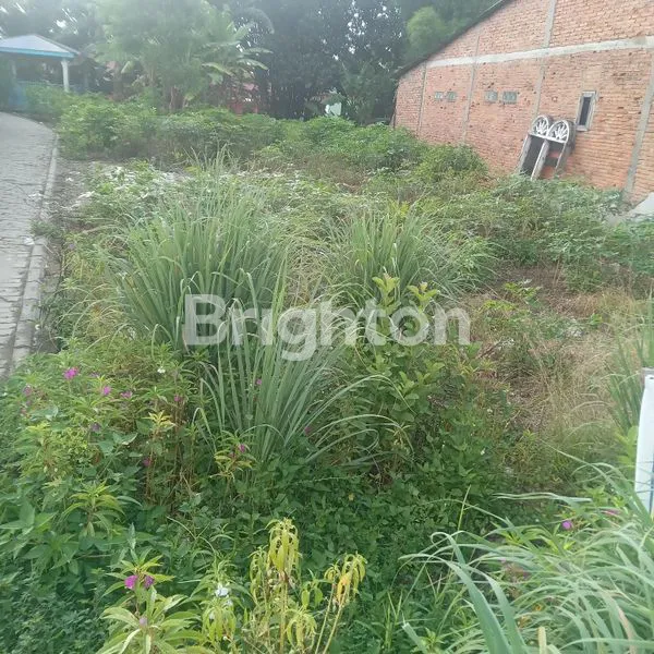 TANAH SELUAS  LEBIHKURANG 7800 M2 DIJUAL LOKASI PERUMAHAN SRIGUNTING