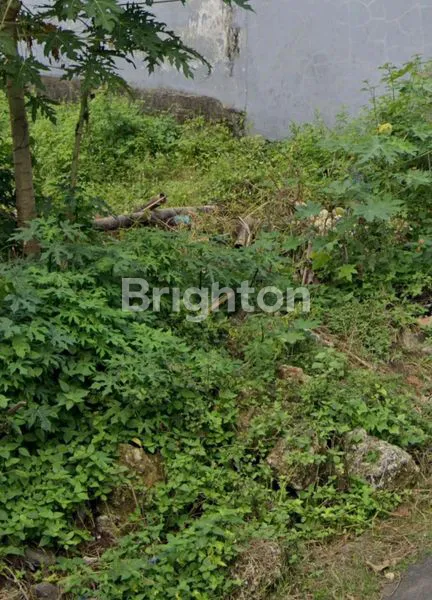 image DIJUAL TANAH 100 M² STRATEGIS DI NUSA DUA  (4)