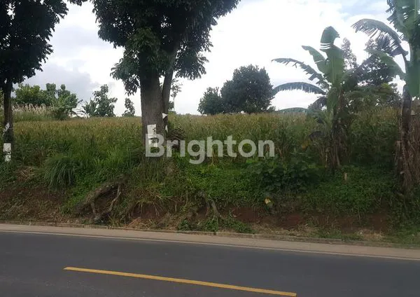 image TANAH MURAH STRATEGIS (1)