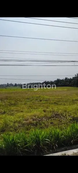 image TANAH KOMERSIL 4,6 HA STRATEGIS PINGGIR JALAN LINTAS SUMATERA KALIANDA (1)