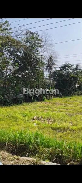 image TANAH KOMERSIL 4,6 HA STRATEGIS PINGGIR JALAN LINTAS SUMATERA KALIANDA (5)