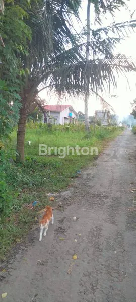 image RUMAH MINIMALIS HARGA MANIS  (6)