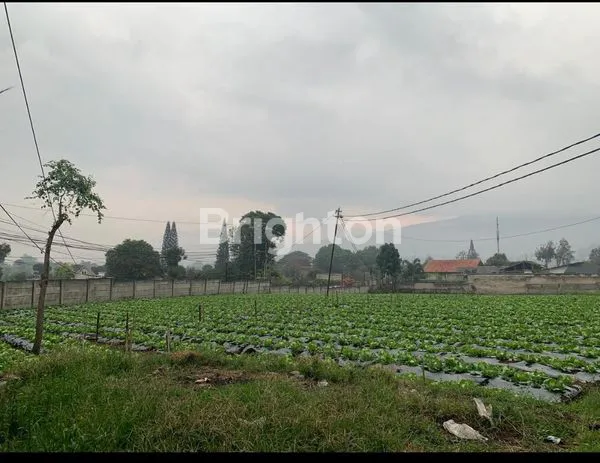 image KAVLING MAINROAD CI JERUK (2)