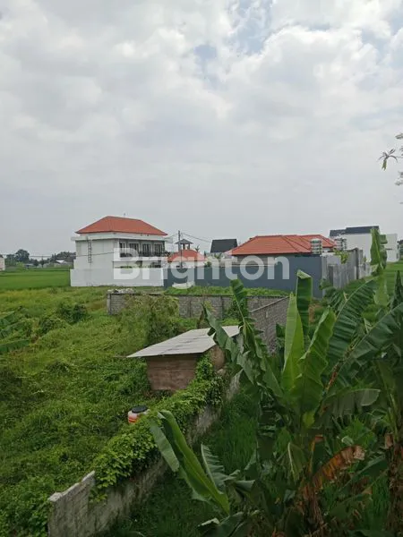 image DIJUAL DENGAN PEMANDANGAN SAWAH (1)