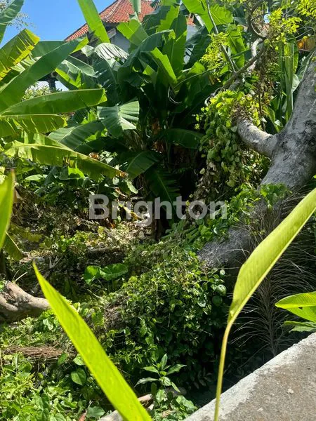 image TANAH DI KONTRAKAN (4)