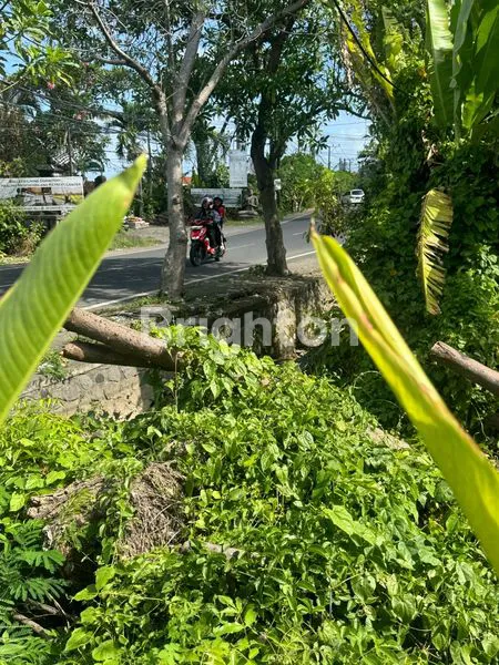 image TANAH DI KONTRAKAN (5)