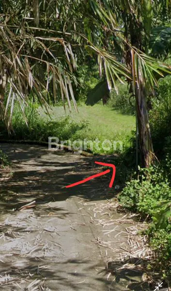 image TANAH SAWAH 2600M² ZONA KUNING DEKAT UII KALIURANG SLEMAN (3)