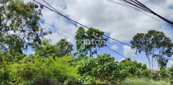 image LAND FOR LEASEHOLD 15 ARE BUDUK (1)