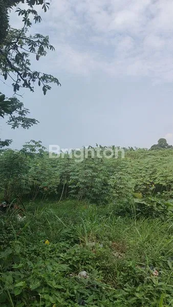 TANAH PREMIUM 1.5 HA VIEW EKSOTIS DI ROTE NDAO, NTT