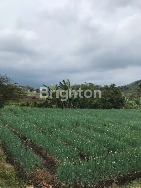 image TANAH MURAH DI BEJI KOTA BATU DEKAT DENGAN JATIMPARK 3 (4)