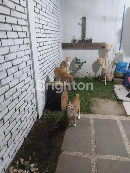 image RUMAH 1 LANTAI PLUS MEZANINE BUAHBATU BANDUNG SIAP HUNI AMAN NYAMAN STRATEGIS (5)