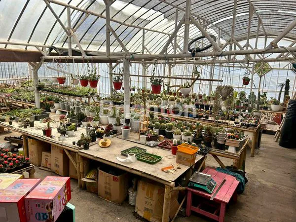 image DIJUAL CEPAT DAN MURAH RUMAH/VILLA EKSKLUSIF FULL FURNISH + BONUS KANTOR USAHA AGRIBISNIS AKTIF DI LEMBANG, BANDUNG (1)